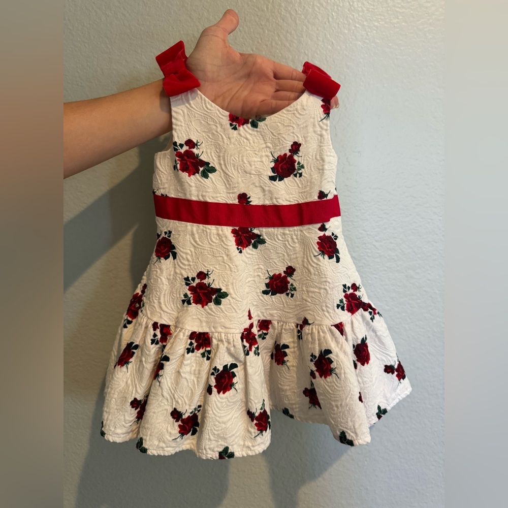 Janie and Jack Red Rose Dress 12-18 Months